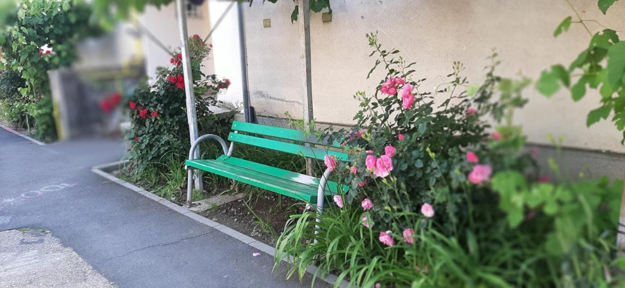 Alice Apartment Arad Bagian luar foto